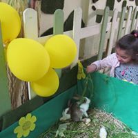 swiss-nursery in Giza