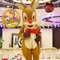 daisy-garden في العبور