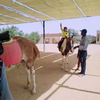 مصاريف adams-and-elbaraa-nurseryالقليوبية