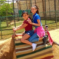 مصاريف adams-and-elbaraa-nurseryالقليوبية