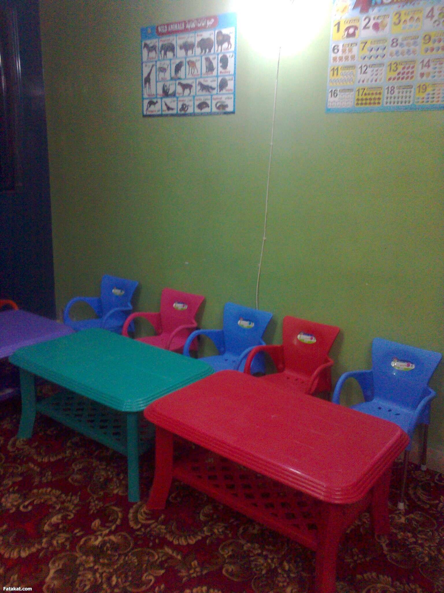 مصاريف genius-child-academyالجيزة