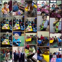 مصاريف anahid-gardens-nursery