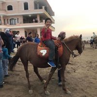 رقم تليفون insan-academy