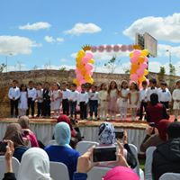 رقم تليفون bloom-nursery