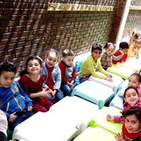 رقم تليفون shining-stars-academy