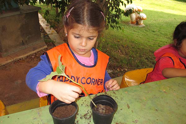 kiddy-corner-nursery في مصر الجديدة  