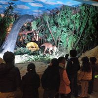 daffodils-academy في مدينة نصر