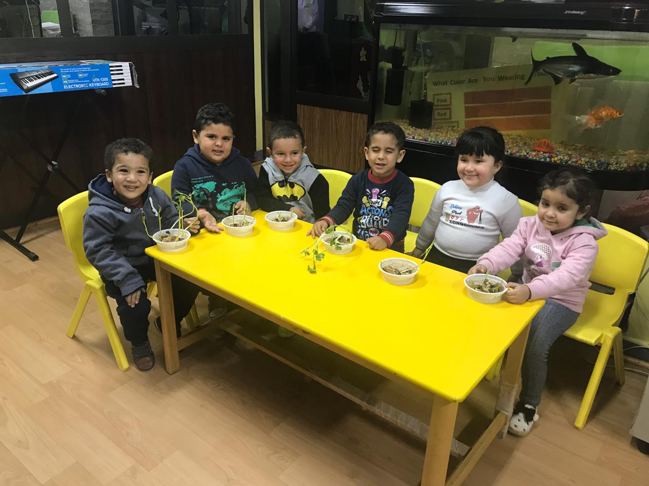 رقم تليفون pinop-nursery