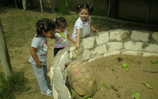 مصاريف the-baby-academyالقاهرة