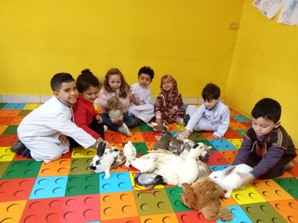 مصاريف wonder-child-academyالقاهرة