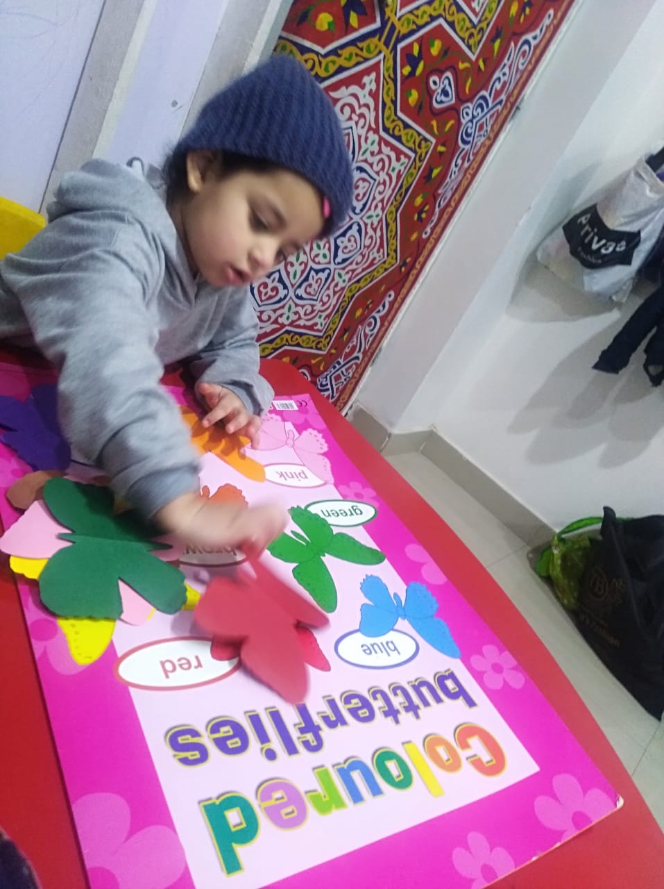 arkan-academy في مدينة نصر