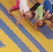 مصاريف anahid-gardens-nursery