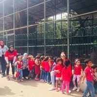 رقم تليفون ultimate-child-academy