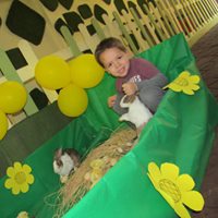 swiss-nursery in Giza