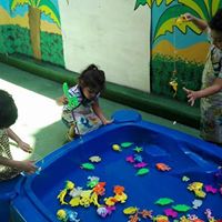 Phone number butterflies-academy