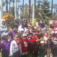 little-stars-academy في الهرم