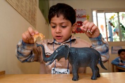 رقم تليفون the-baby-academy