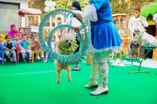 under-5-international-preschool in Cairo