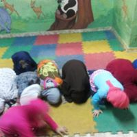 vision-academy في الهرم