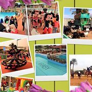 رقم تليفون clever-kids