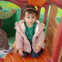 little-dream-nursery-and-preschool Fees