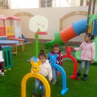 مصاريف daisy-gardenالقليوبية