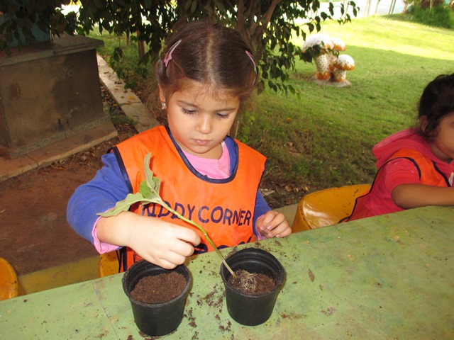 kiddy-educational-corner-nursery Fees