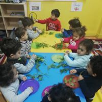 مصاريف baby-world-nurseryالقاهرة