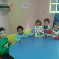 رقم تليفون talah-academy