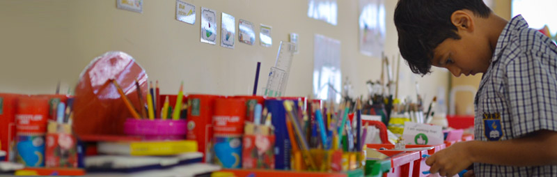 Virginia International School Fees