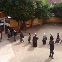 Mohamed Fawzy Moaz Preparatory School Fees
