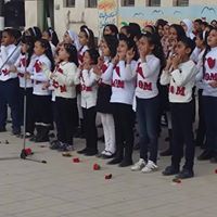 Phone number Mahmoud Abbas Al - Atta Primary Experimental School