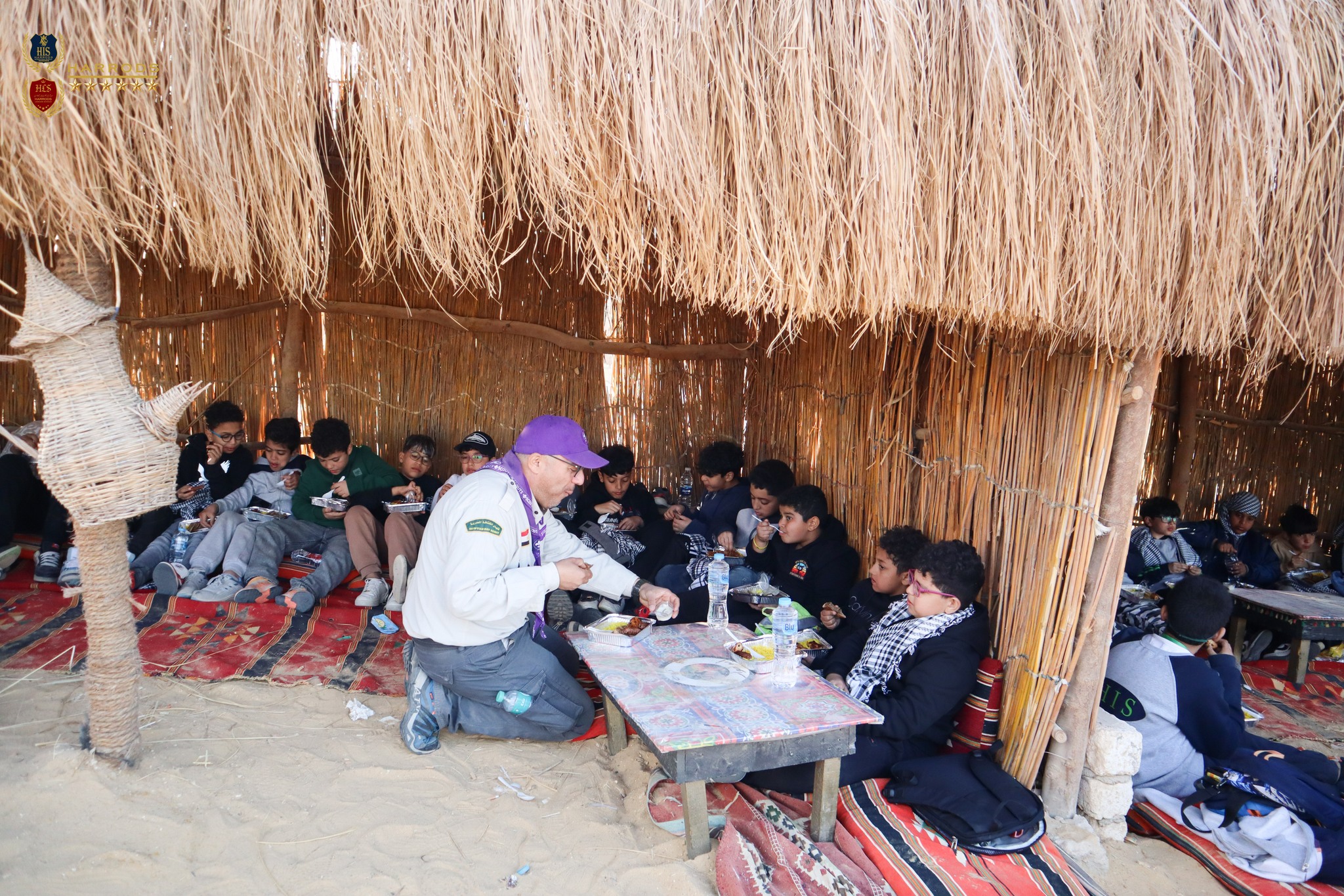 Harrods Language Schools in Cairo