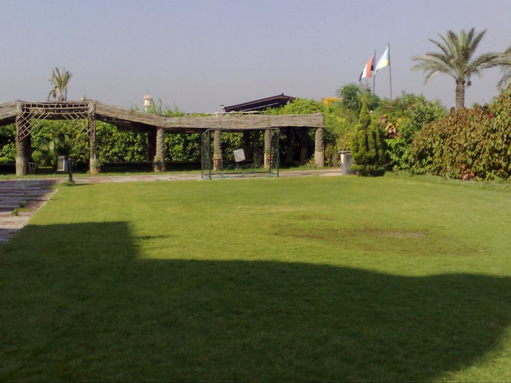 Helalia Language School