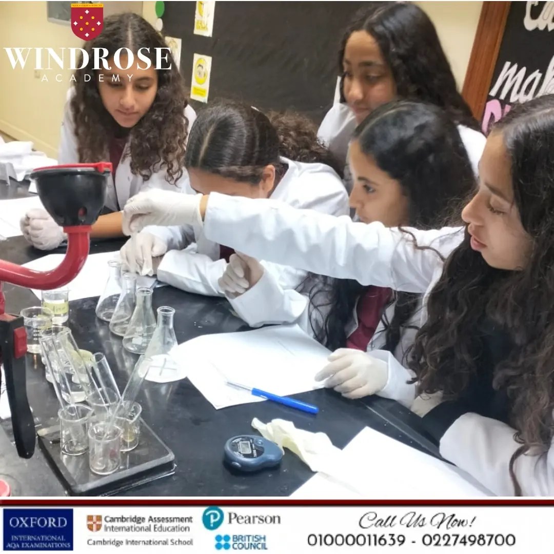 Windrose Academy