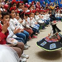 Nahda Masr Private School Fees