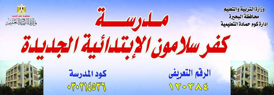 Kafr Salamoun School